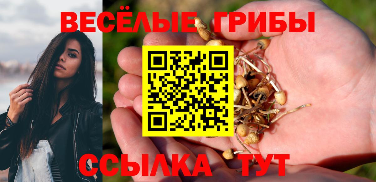 Егорьевск  Галлюциногенные грибы Cubensis  Вход с VPN 