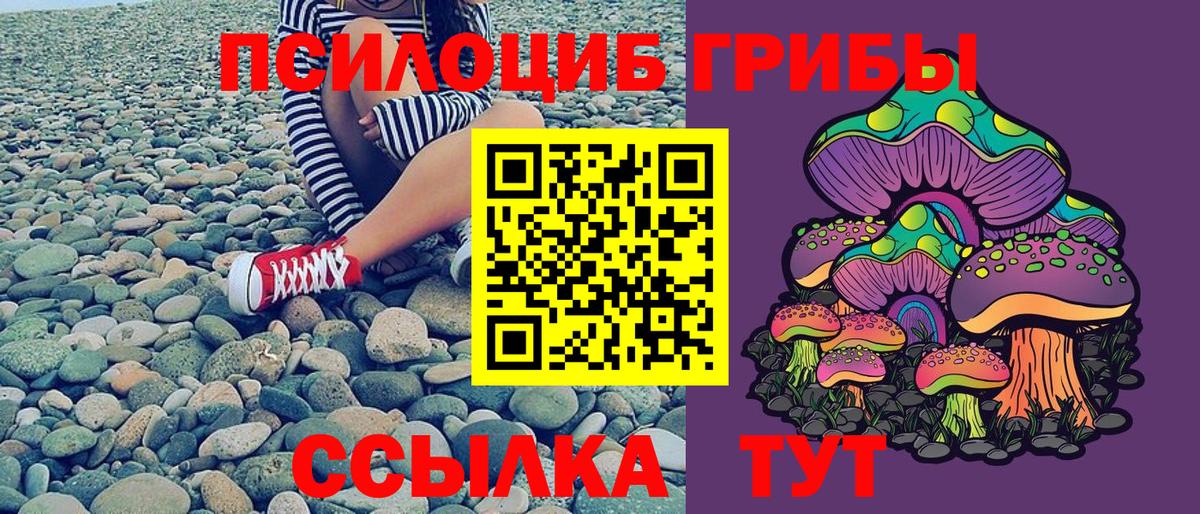 Псилоцибиновые грибы мицелий Егорьевск